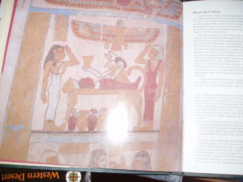 Wueste2009 (103)