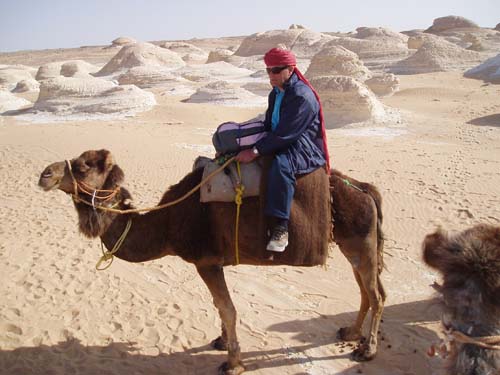 Wueste2009 (109)
