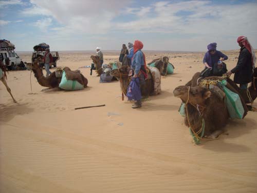 Wueste2009 (21)