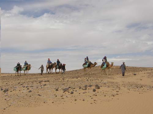 Wueste2009 (23)