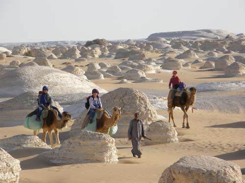 Wueste2009 (59)
