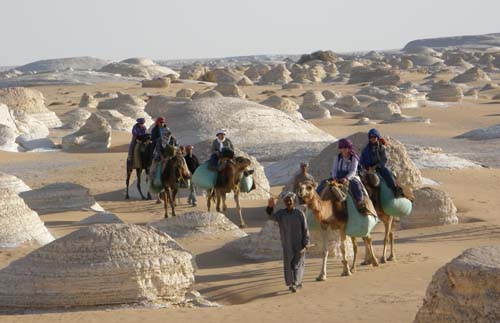 Wueste2009 (60)