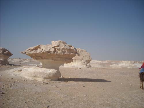 Wueste2009 (64)