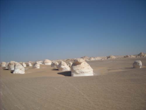 Wueste2009 (76)