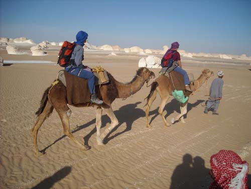 Wueste2009 (77)