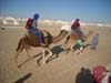 Wueste2009 (77)
